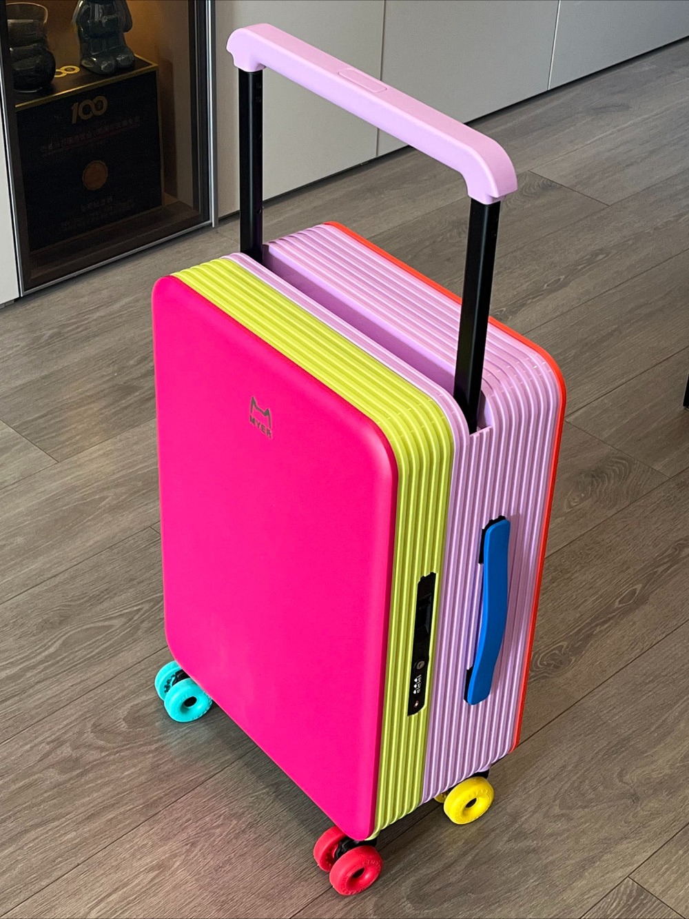 Spinner Wheel Rolling Suitcase 20 Inch - Valigia da viaggio alla moda da