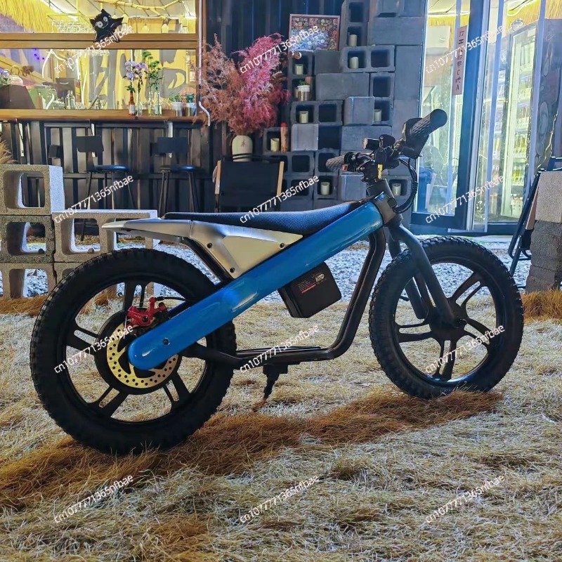 Bicicletta elettrica per bambi - Kids Ride On Suitcase Scooter recensione e prezzo